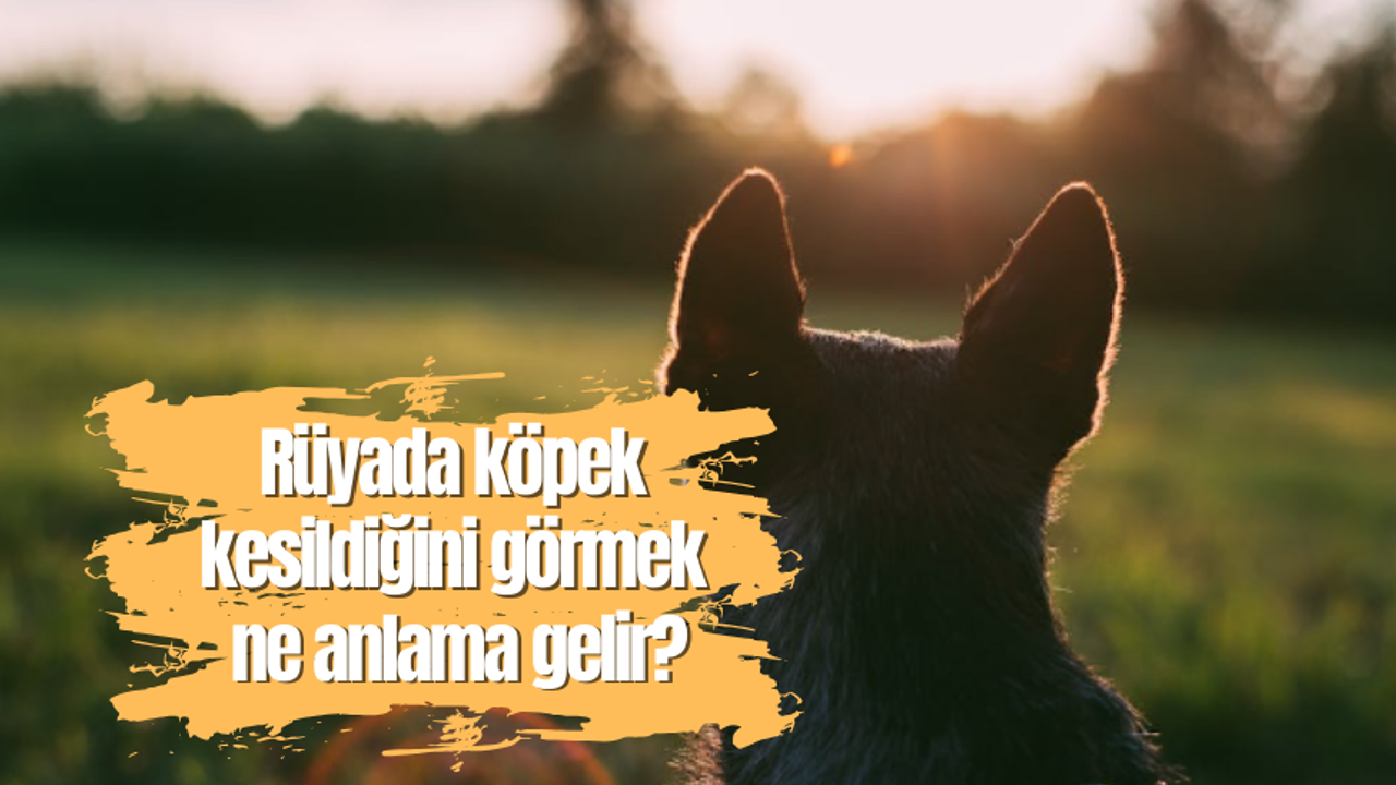 Rüyada sağ elinin kesildiğini görmek ne anlama gelir?