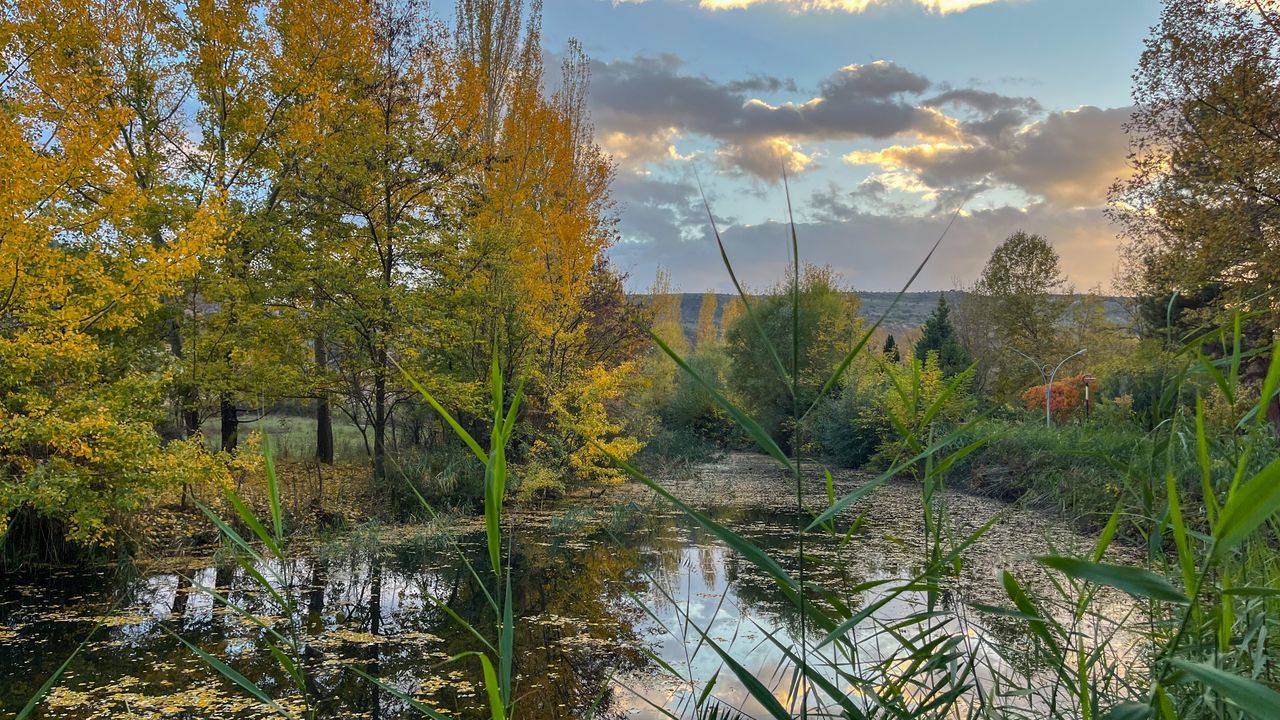 Eskişehir'de bugün hava durumu (30 Ekim 2025 Perşembe)