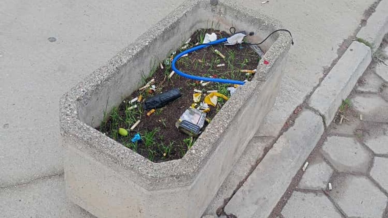 Eskişehir'de çevre duyarsızlığı: Saksı çöp yığınına döndü!