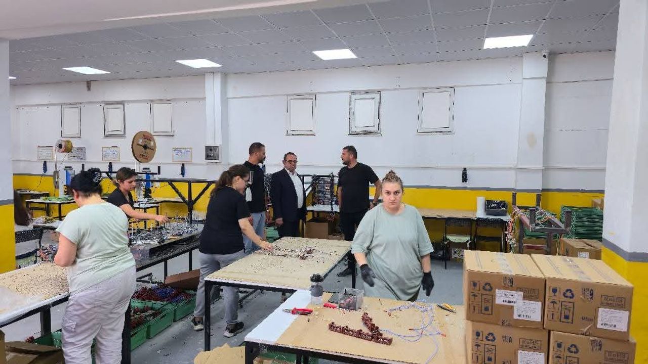 Eskişehir'de KOSGEB, yatırımları yerinde inceledi
