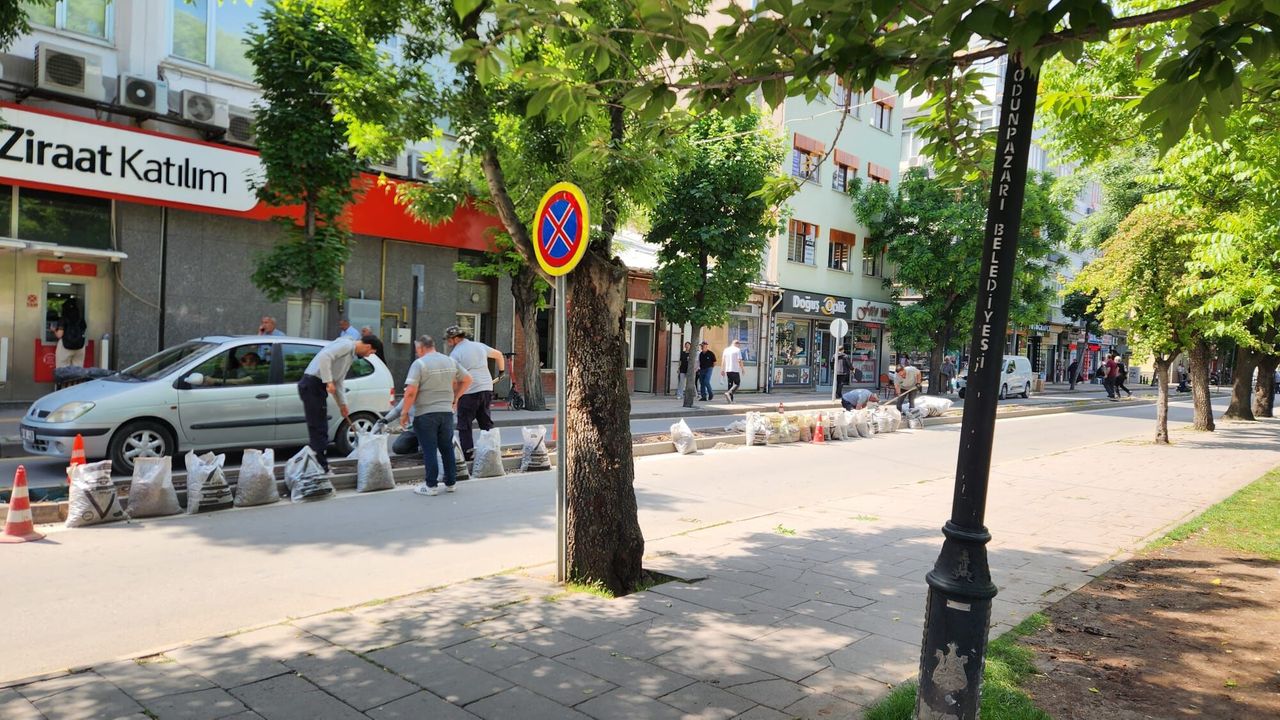Büyükşehir ekiplerinden refüjlerde bakım mesaisi