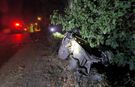 Afyon'da gece saatlerinde korkutan kaza