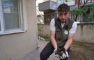 Bilecik’te mazgala sıkışan yavru kediler kurtarıldı!