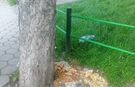 Eskişehir'deki parkta kötü görüntü