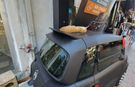 Model arabanın üzerine kurulan kedi tebessüm ettirdi