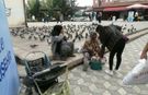 Köprübaşı’nda güvercin yemi tepkisi: Esnaf isyan etti