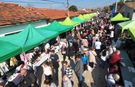 Eskişehir’de bal kabağı panayırına yoğun ilgi: Kızılinler dolup taştı