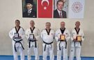 Tekvandonun emektar isimlerine plaket