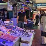 Palamut bolluğu geliyor: Eskişehir’de balık fiyatları düşecek mi?