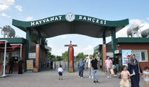Eskişehir Hayvanat Bahçesi'nde en çok onlar ilgi çekiyor