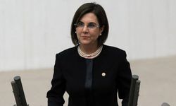 Eski milletvekili Gaye Usluer'e CHP'de görev