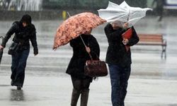 Meteoroloji'den Eskişehir'e uyarı: Zehirlenmelere karşı dikkat!