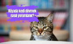 Rüyada kedi dövmek nasıl yorumlanır?