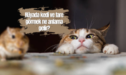 Rüyada kedi ve fare görmek ne anlama gelir?