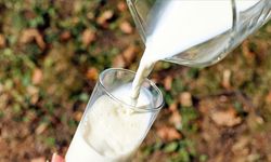 Eskişehir'de çiğ süt fiyatına tepki: Çok ucuz...