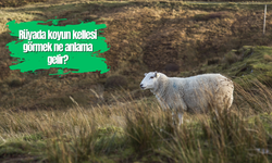 Rüyada koyun kellesi görmek ne anlama gelir?