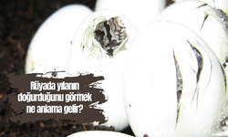 Rüyada yılanın doğurduğunu görmek ne anlama gelir?