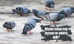 Rüyada kafaya kuş sıçması ne anlama gelir?