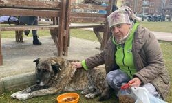 22 yıldır Eskişehir'de sokak hayvanlarını besliyor