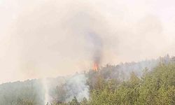 Ciğerimiz yandı: Eskişehir'de orman yangını...