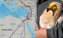 Eskişehir'den başlayan göç yolculuğu: 67 bin kilometre...