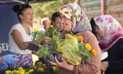 Eskişehir'de on binlerce çiçek bayram için dağıtıldı!