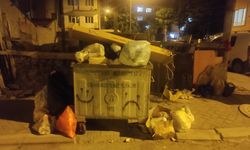 Eskişehir'de artan nüfusa paralel çöp problemi