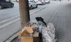 Eskişehir'de çöp dağına tepki yağdı