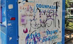 Eskişehir'de anlamsız yazılar vatandaşları kızdırdı
