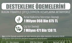 Eskişehirli çiftçilere 8,5 milyon lira destek: Ödemeler başlıyor!