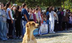 Kütahya'daki kutlamalarda sevimli köpeğe büyük ilgi