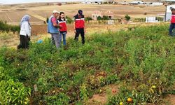 Kütahya’da üretim alanları denetlendi