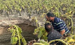 Eskişehirli çiftçi tarlasına gittiğinde şok yaşadı: Tam 20 metre!