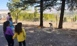 Hisarcık’ta özel öğrencilere hayvanlar tanıtıldı