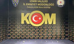 İzmir'de tarihi eser kaçakçılığı yapan şahıs gözaltına alındı