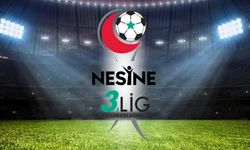 Nesine 3. Lig 1. Grup Puan Durumu