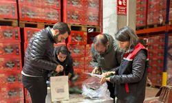 Eskişehir'de ekipler sahada: Didik didik inceliyorlar!