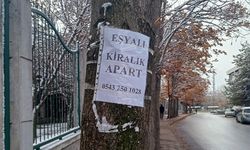 Eskişehir'de hem çevre kirliliği hem de ağaçlara zarar veriyor!