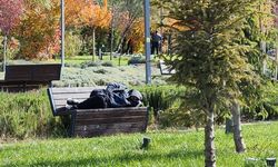 Eskişehir parklarında konaklayanlar dikkat çekiyor