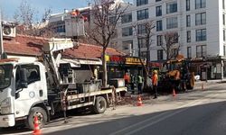 Büyükşehir Belediyesi çevre düzenlemesine ağırlık verdi