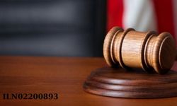 Eskişehir 14. Asliye Ceza Mahkemesi No 2024-351