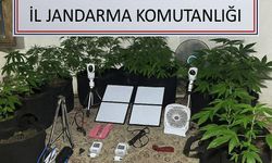 Zehir yetiştiricisi öğrencinin planına polisten baskın!