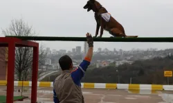 İçişleri Bakanlığı'ndan Köpekli Arama Timlerine yeni yönetmelik