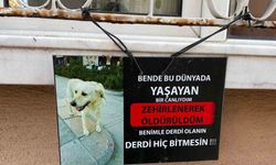 Zehirlendiği iddia edilen köpeğin fotoğrafıyla asılan not göze çarptı