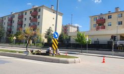 Eskişehir’de refüjlerde bahar mesaisi başladı