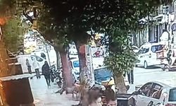 Eskişehir’de el freni çekilmeyen araç faciayı ucuz atlattı