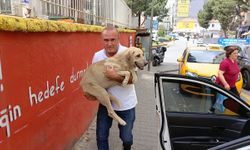 Aydınlı taksicinin örnek davranışı yürekleri ısıttı!