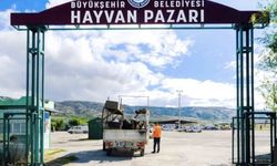 Eskişehir'de Hayvan Pazarı'nda satışlar hangi gün başlayacak?