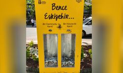 Eskişehir'de renkli uygulama: Hem çevreci hem esprili