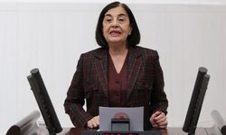 Eskişehirli vekilin sorusuna bakanlıktan şok yanıt!